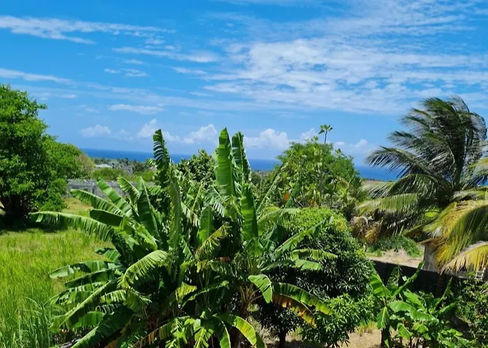 3-bed Sea View House In Priory St Ann * Ocho Rios